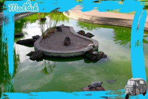 Madeira: Botanical Gardens + Old Town Tuk-Tuk Tour by MadTuk