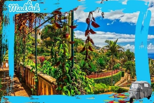Madeira: Botanical Gardens + Old Town Tuk-Tuk Tour by MadTuk