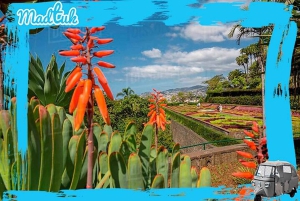 Madeira: Botanical Gardens + Old Town Tuk-Tuk Tour by MadTuk