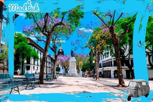 Madeira: Botanical Gardens + Old Town Tuk-Tuk Tour by MadTuk