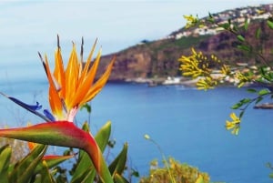 Madeira: Cabo Girao, Jeep Tour Adventure and Wine Tasting