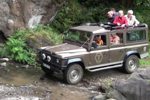 Madeira: Cabo Girao, Jeep Tour Adventure and Wine Tasting