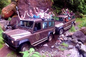 Madeira: Cabo Girão, vinoplevelse og delfinsafari