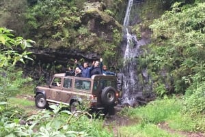Madeira: Cabo Girão, vinoplevelse og delfinsafari