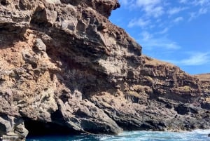 Madeira: Coasteering-Abenteuer mit Schnorcheln, mit Abholung