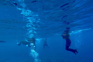 Madeira: Coasteering-Abenteuer mit Schnorcheln, mit Abholung