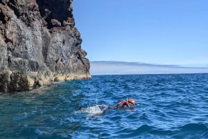 Madeira: Coasteering og klippehopping
