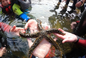 Madera: wycieczka coasteeringowa