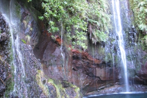 Madeira: Guidet heldagsvandring i Rabaçal
