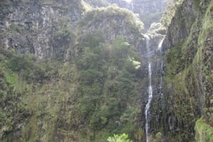 Madeira: Guidet heldagsvandring i Rabaçal