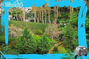 Madeira: Monte-Rodelbahn + Altstadt-Tuk-Tuk-Tour mit MadTuk