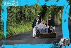 Madeira: Monte-Rodelbahn + Altstadt-Tuk-Tuk-Tour mit MadTuk