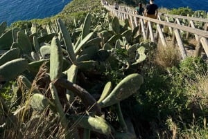 Madeira: Pico do Arieiro og Laurissilva-skoven - Østtur