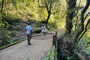 Madeira: Pico do Arieiro og Laurissilva-skoven - Østtur