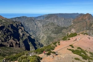 Madeira: Pico do Arieiro og Laurissilva-skoven - Østtur