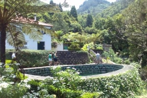 Madeira: Pico do Arieiro og Laurissilva-skoven - Østtur