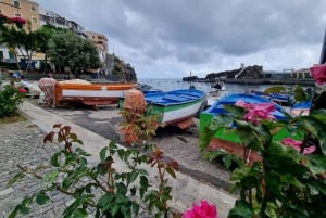 Madeira: Pittoreske fjelltopper og Skywalk - privat tur med 4x4-jeep