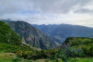 Madeira: Pittoreske fjelltopper og Skywalk - privat tur med 4x4-jeep