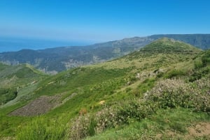 Madeira: Pittoreske fjelltopper og Skywalk - privat tur med 4x4-jeep