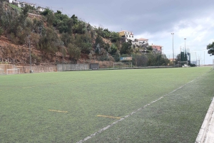 Madeira: Privat Cristiano Ronaldo-tur med CR7 Museum