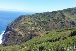 Madeira: Private Guided Half-Day Tour of Northwest Madeira