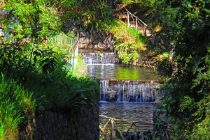 Madeira: Queimadas, Caldeirão Verde og Levada Walk