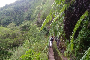 Madeira: Queimadas, Caldeirão Verde og Levada Walk