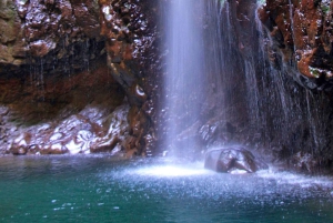 Madeira: Queimadas, Caldeirão Verde og Levada Walk