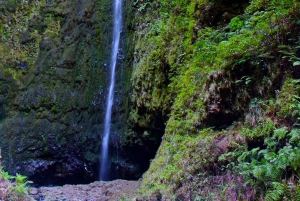 Madeira: Queimadas, Caldeirão Verde og Levada Walk