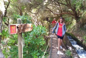Madeira: Rabaçal, Risco and 25 Fontes Guided Hiking Tour