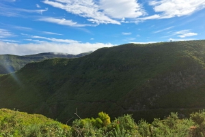 Madeira: Rabaçal, Risco and 25 Fontes Guided Hiking Tour