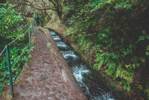 Madeira: Rabaçal Valley and the 25 Fountains Hike