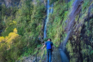 Madeira: Rabaçal Valley and the 25 Fountains Hike
