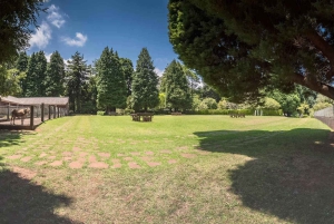 Madeira: Sightseeing-Tour