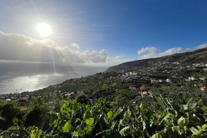 Madeira: Solfylt sørside - Cabo Girão, fossefall, C. Lobos