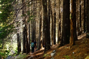 Madeira: Amanecer en el Pico do Arieiro + 2 caminatas - PR1 y PR3