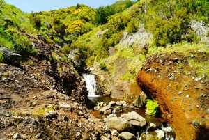 Madeira: Amanecer en el Pico do Arieiro + 2 caminatas - PR1 y PR3