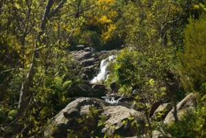 Madeira: Amanecer en el Pico do Arieiro + 2 caminatas - PR1 y PR3