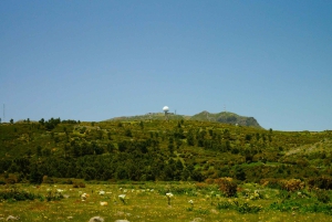 Madeira: Amanecer en el Pico do Arieiro + 2 caminatas - PR1 y PR3