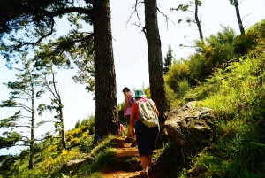 Madeira: Amanecer en el Pico do Arieiro + 2 caminatas - PR1 y PR3