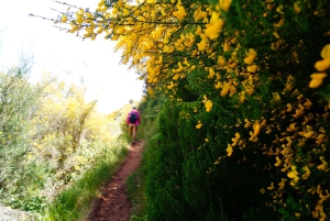 Madeira: Amanecer en el Pico do Arieiro + 2 caminatas - PR1 y PR3