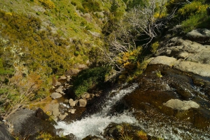 Madeira: Amanecer en el Pico do Arieiro + 2 caminatas - PR1 y PR3