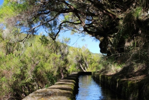 Madeira : Walking Tour-Rabaçal /25 Fontes