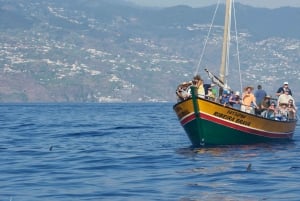 Madeira: Whale Watching Excursion in a Traditional Vessel