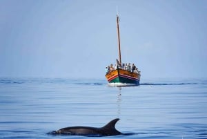 Madeira: Whale Watching Excursion in a Traditional Vessel