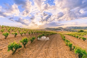 Madrid: Luxus-Sieger und Ribera del Duero Tour