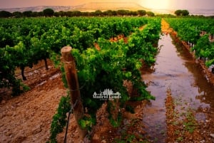 Madrid: Luxus-Sieger und Ribera del Duero Tour