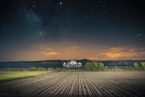 Madrid: Luxus-Sieger und Ribera del Duero Tour