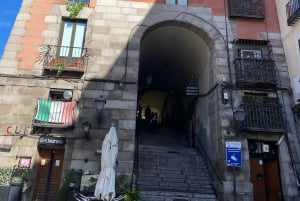 Madrid: slentretur gennem Østrig-kvarteret, mulighed for besøg på Prado-museet