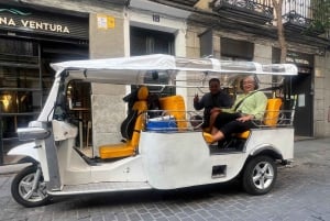Madrid TUK TUK City Tour